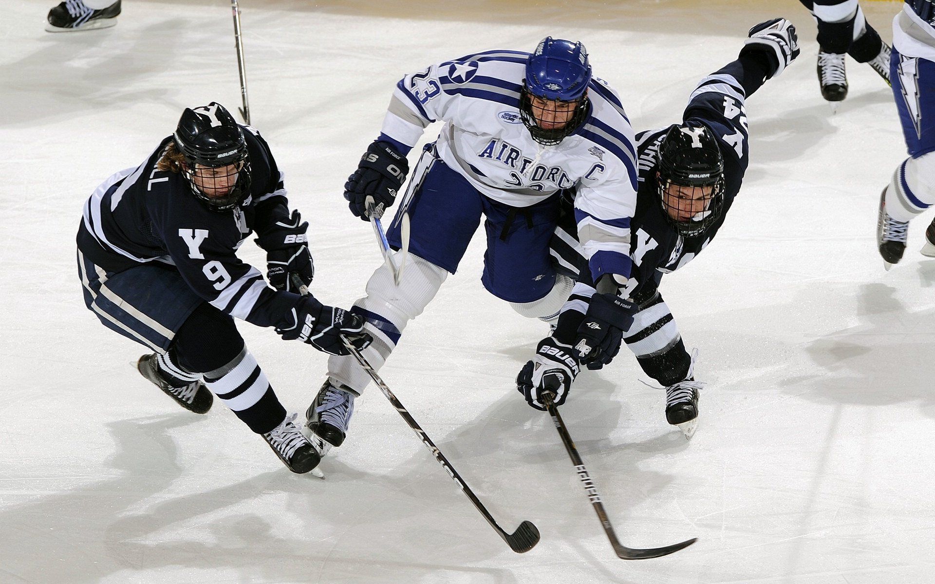 锡安领军，新奥尔良的墨西哥湾狂想曲，美加墨世界杯之夜